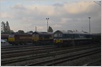 Photo Number 7