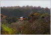Photo Number 10