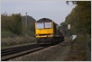 Photo Number 7
